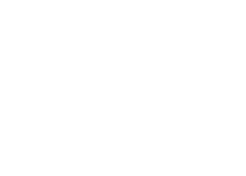 Mane Experience
