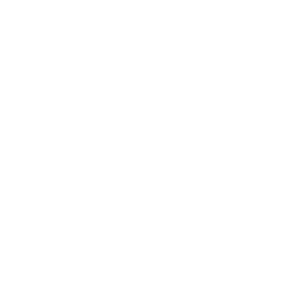 Louisiana Outline
