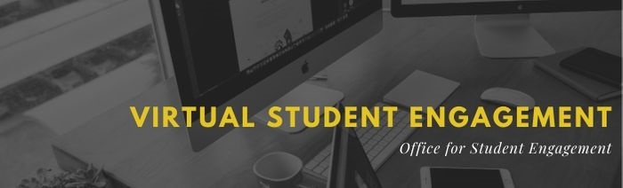 Virtual Student Engagement
