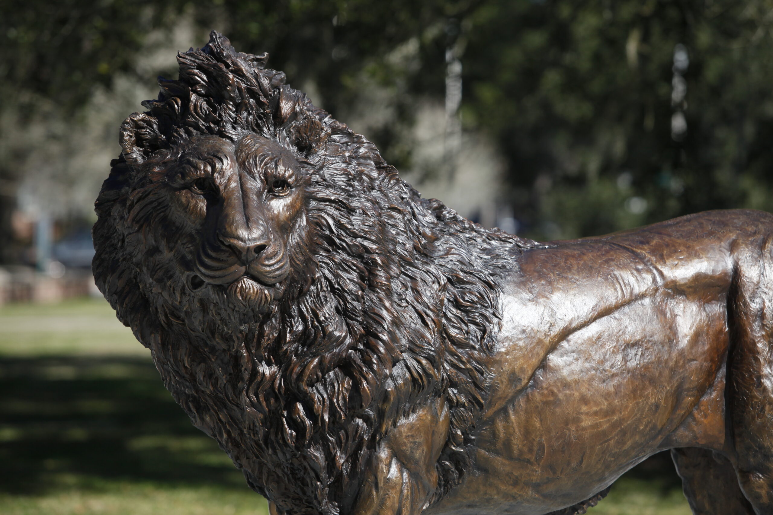 New Lion on Campus - Southeastern Louisiana University